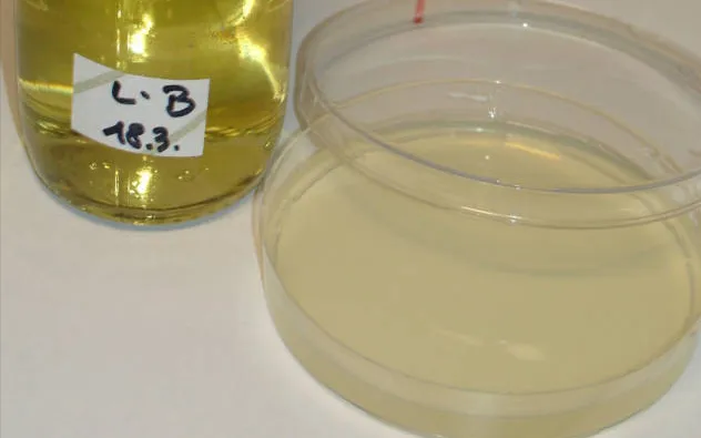 液体 LB 培养基的配制 液体 LB 培养基的配制