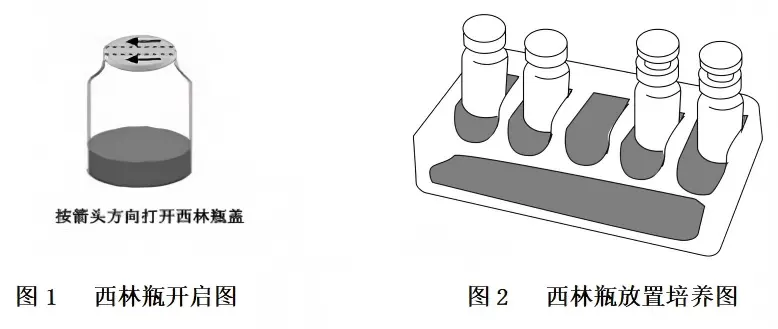 西林瓶使用方法图