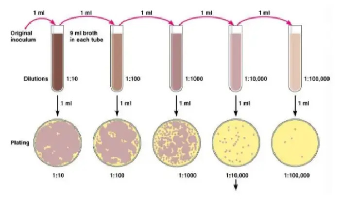 倾注平板法 倾注平板法