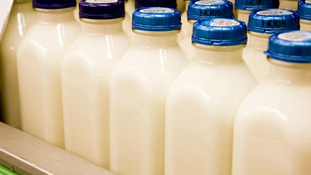 GB 4789.35-2023乳制品检测