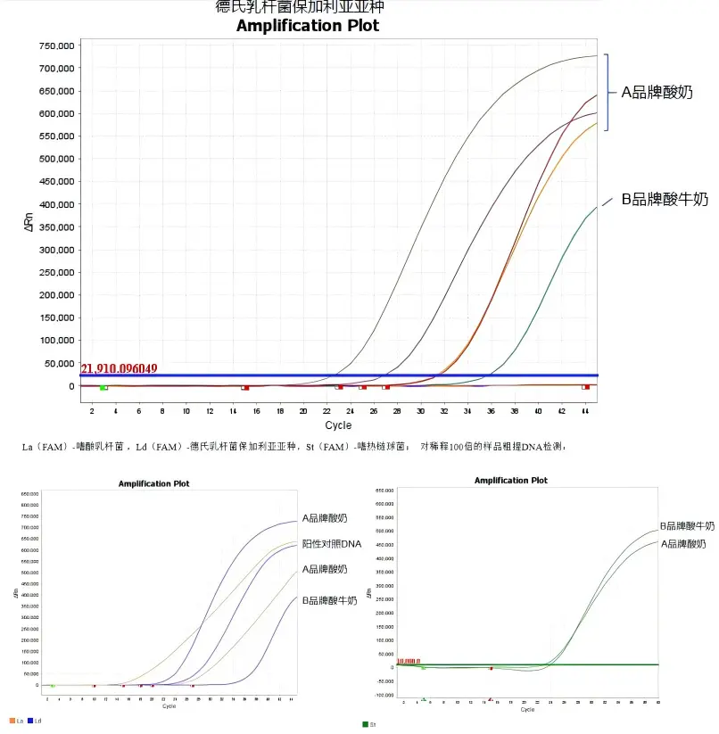 乳酸菌核酸检测试剂盒（PCR-荧光探针法）应用案例