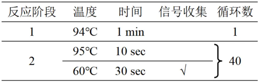 鼠李糖乳杆菌核酸检测试剂盒(PCR-荧光探针法)反应程序