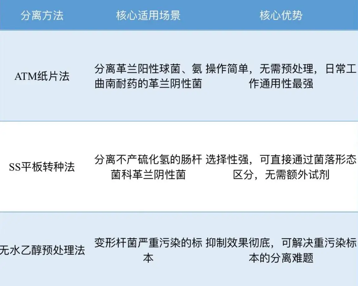 变形杆菌爬满平板 变形杆菌爬满平板