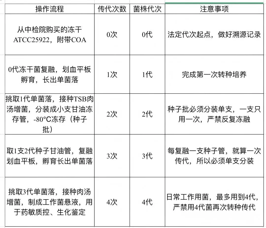 0代到5代计数模板