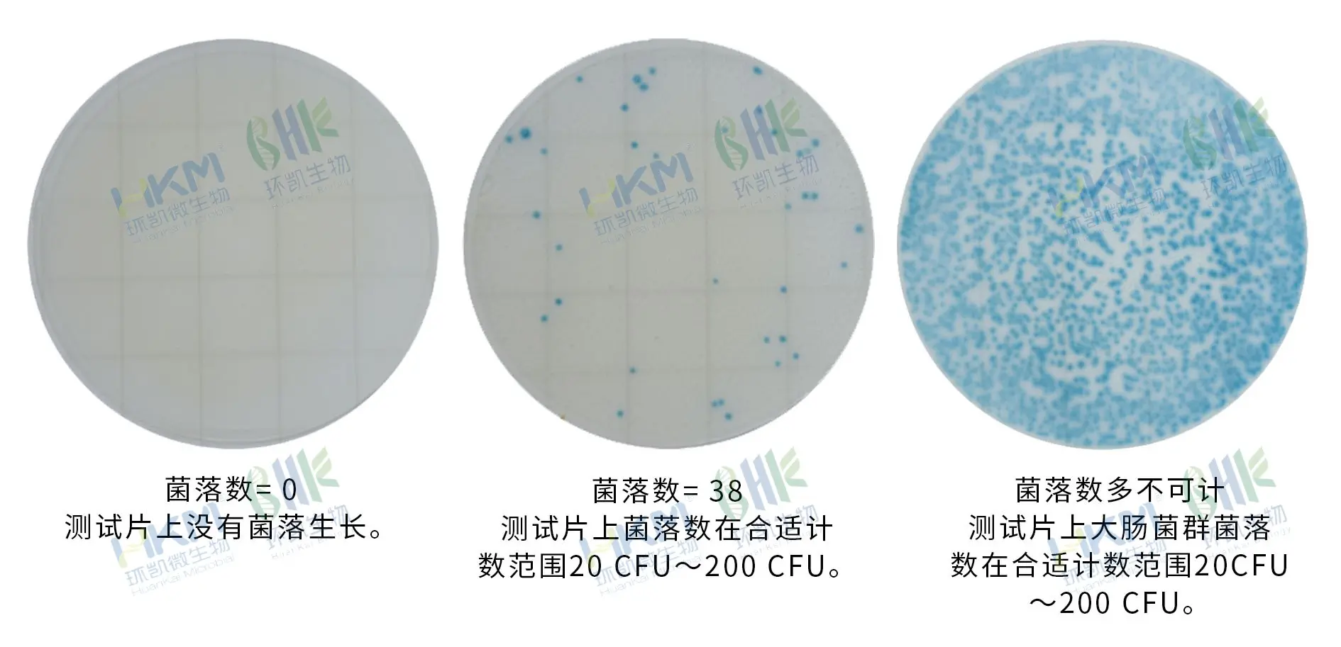 环凯 HandyPlate®环境李斯特氏菌测试片 判读手册 环凯 HandyPlate®环境李斯特氏菌测试片 判读手册