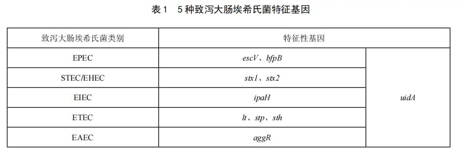 5种致泻大肠埃希氏菌特征基因 5种致泻大肠埃希氏菌特征基因