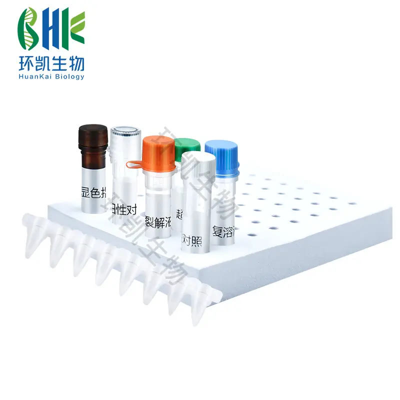 KJD01L 铜绿假单胞菌核酸快速检测试剂盒(恒温荧光法) 24test - 产品主图5
