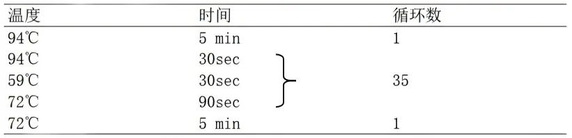 ETEC多重PCR检测试剂盒PCR 反应程序 ETEC多重PCR检测试剂盒PCR 反应程序