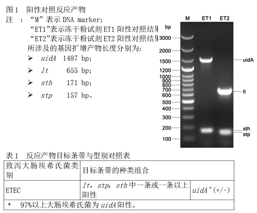 ETEC多重PCR检测试剂盒结果判读 ETEC多重PCR检测试剂盒结果判读