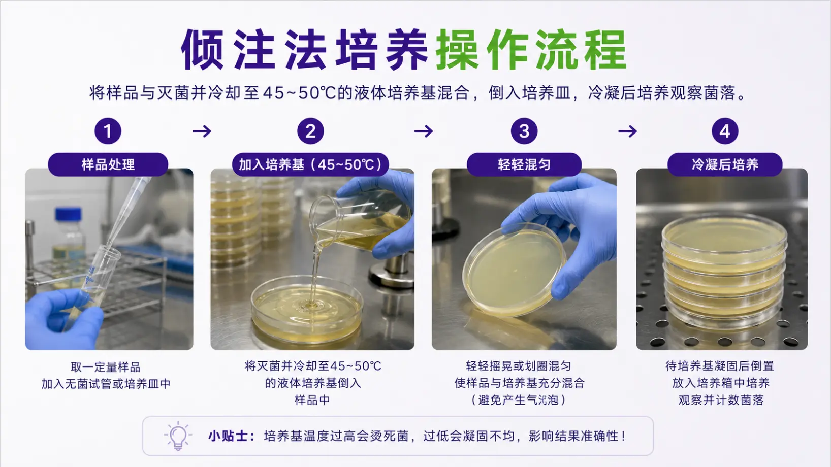 倾注法培养操作流程 倾注法培养操作流程