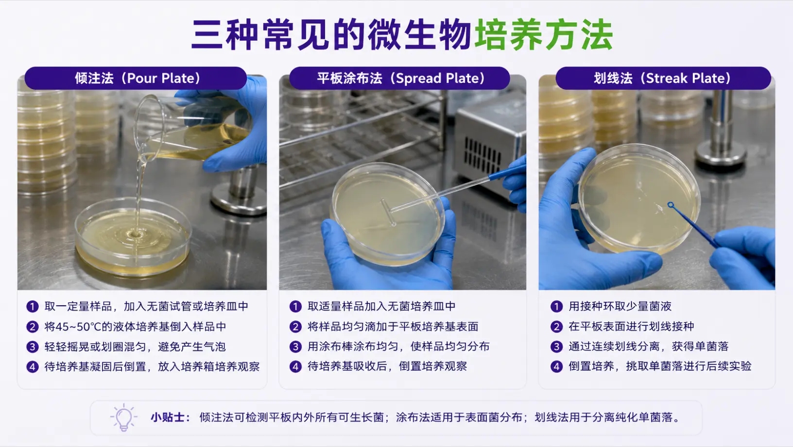 三种常见的微生物培养方法 三种常见的微生物培养方法