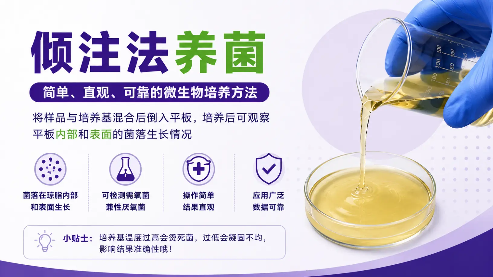倾注法养菌介绍 倾注法养菌介绍
