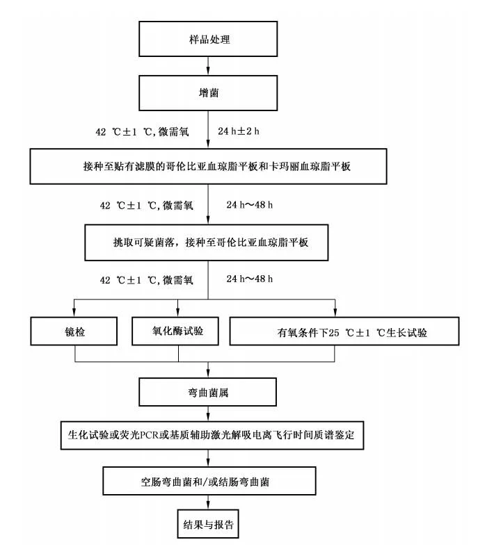 GB 4789.9-2025 版实验流程