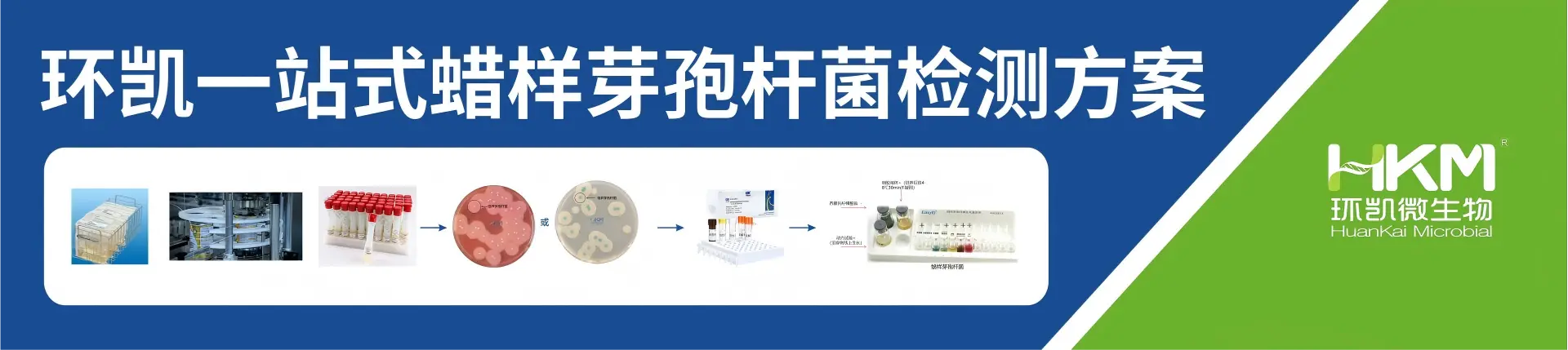 蜡样芽孢杆菌解决方案