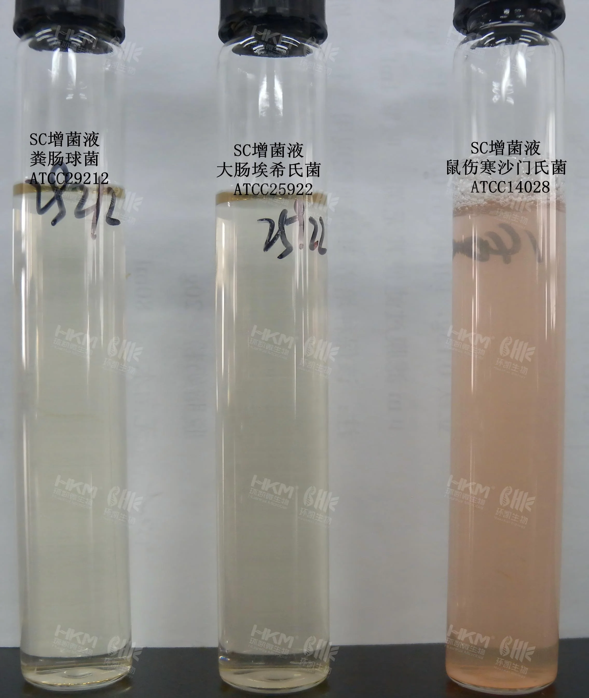 亚硒酸盐胱氨酸增菌液(SC)质量控制 亚硒酸盐胱氨酸增菌液(SC)质量控制