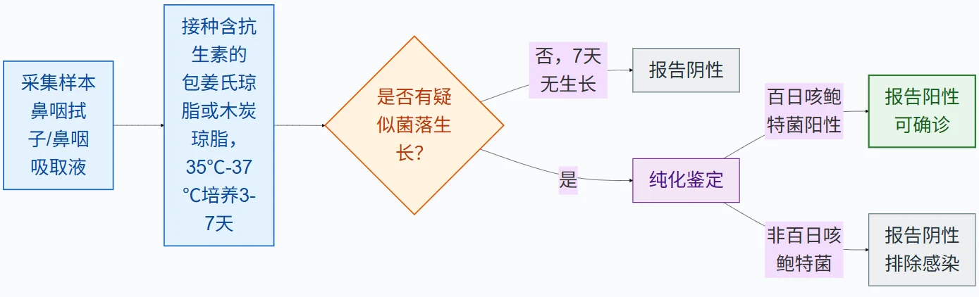 百日咳鲍特菌培养流程图