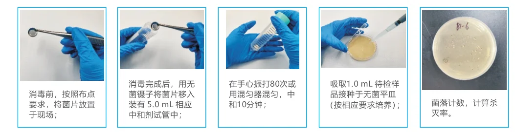 图1 菌片检测流程