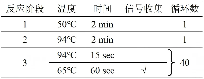 空肠弯曲菌核酸检测试剂盒(PCR-荧光探针法)反应程序