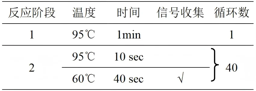 碳青霉烯类耐药菌核酸多重检测试剂盒(PCR-荧光探针法)反应程序