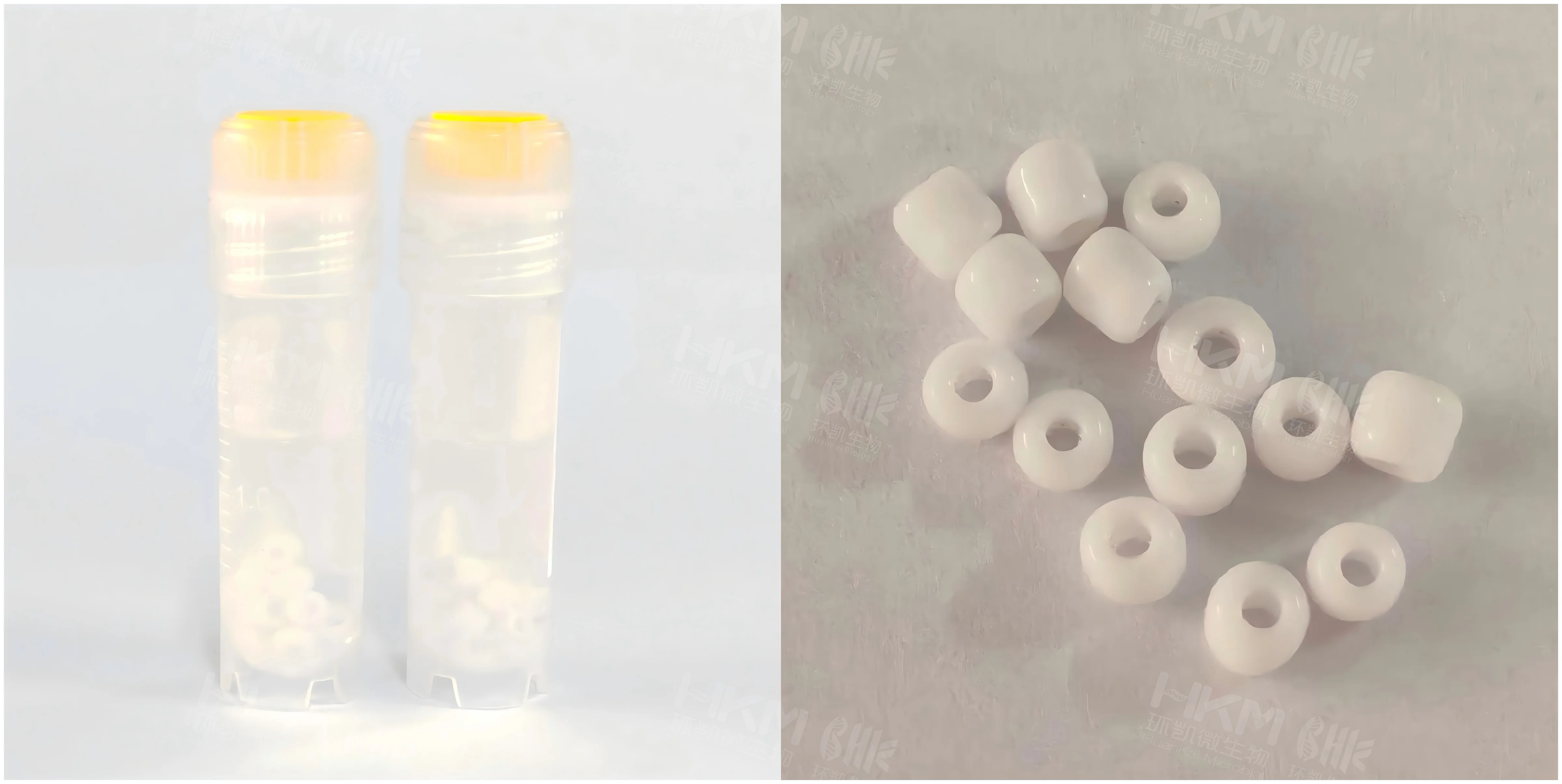 瓷珠菌株冻存管详情图 瓷珠菌株冻存管详情图